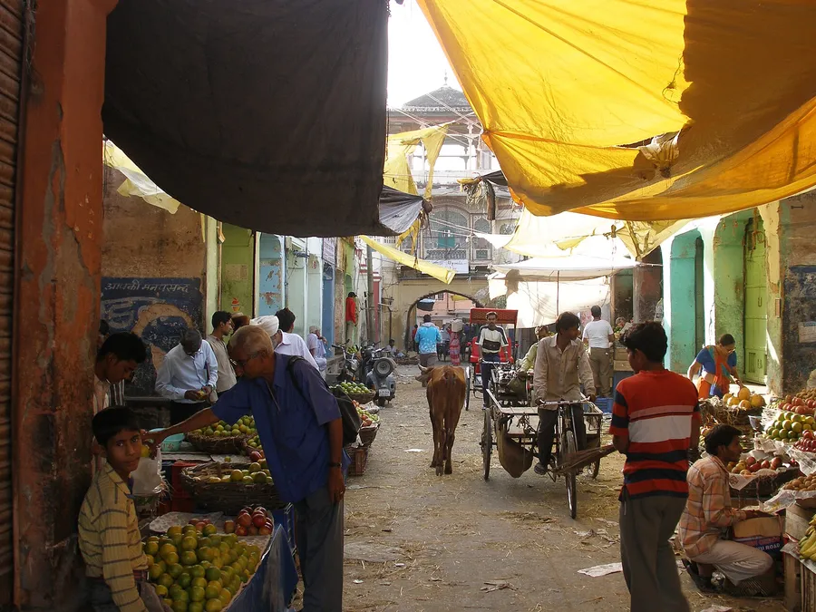 india trips